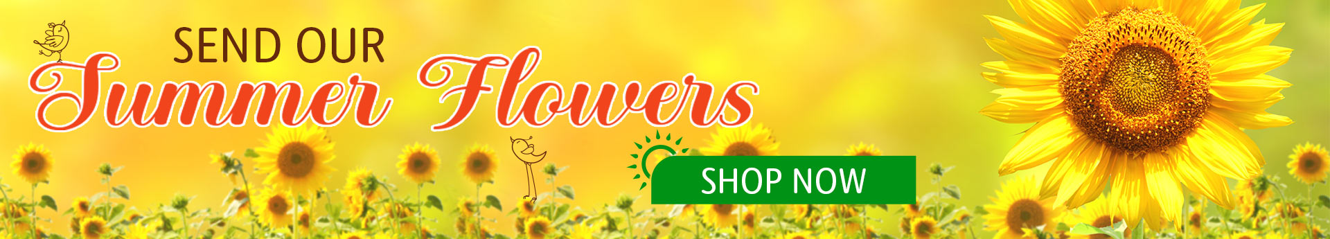 Summer Best Sellers Flowers